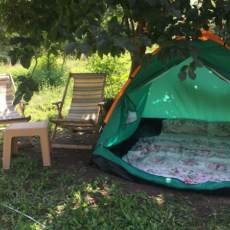 מלון וירפזאר Camp Podkraj מראה חיצוני תמונה